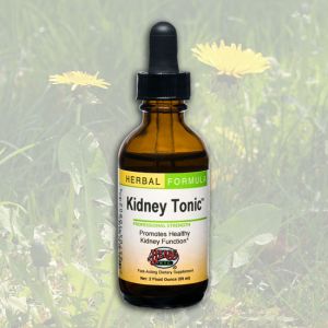 Herbs Etc. - Kidney Tonic - 2oz