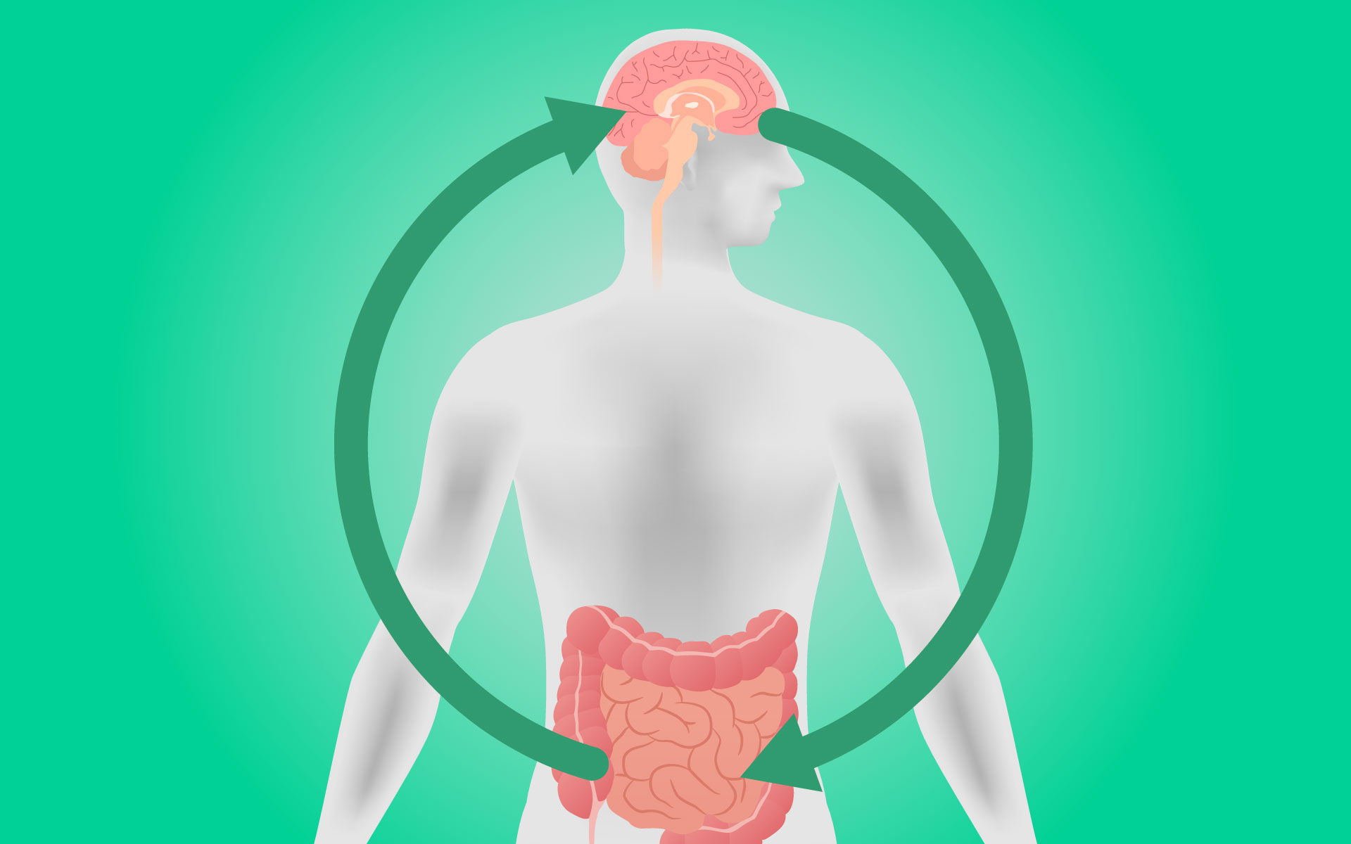 Restore the Gut-Brain Connection