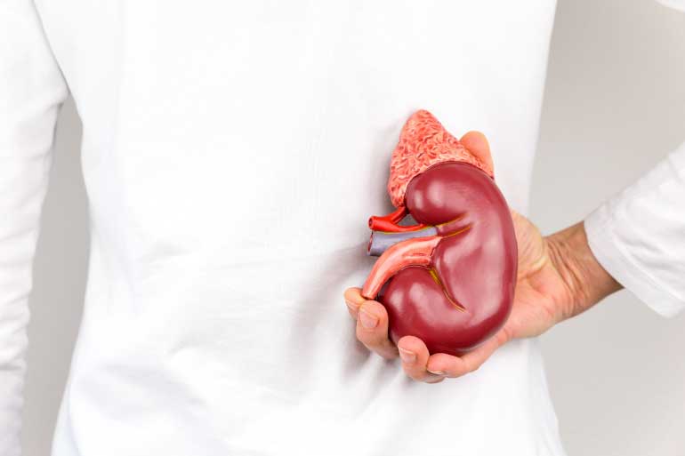 Crash Course on How to Improve Kidney Health
