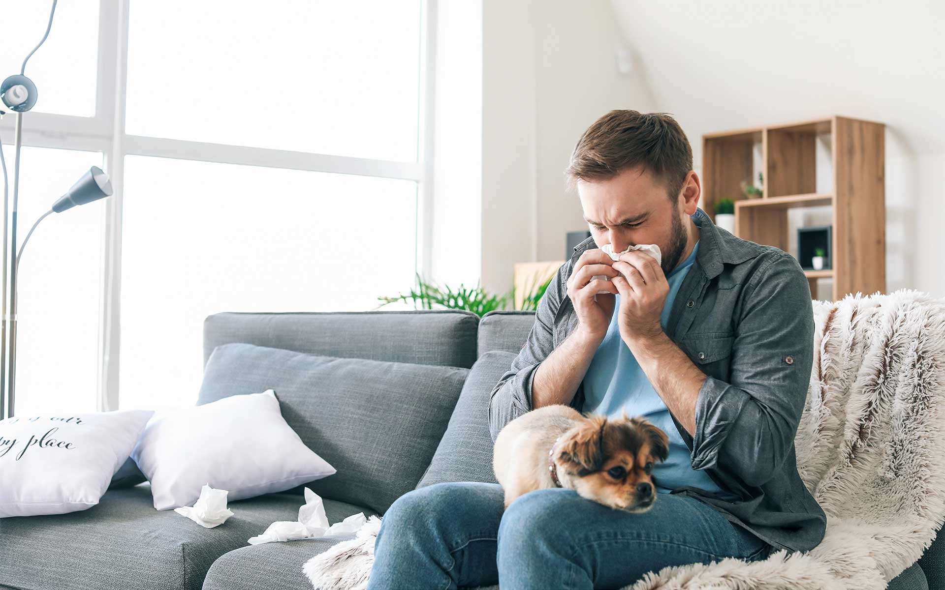Allergy-Proofing Your Home
