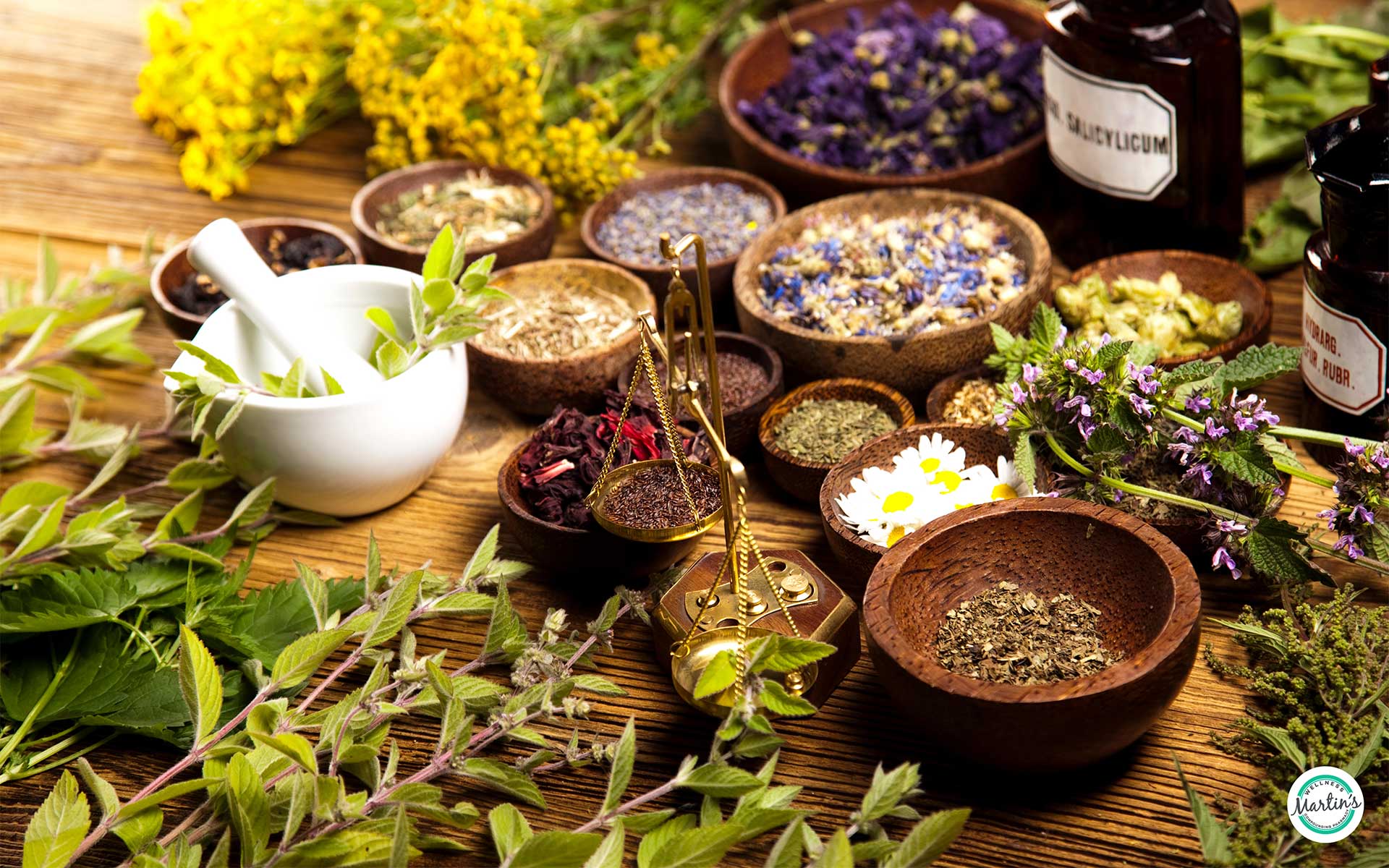 Herbs and plants used for hormone and endocrine support