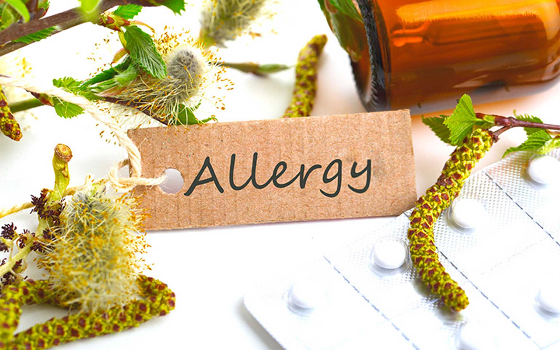 Tis the Season, Allergy Season That is! 