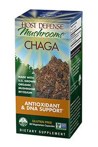 Chaga Mushroom by Host Defense