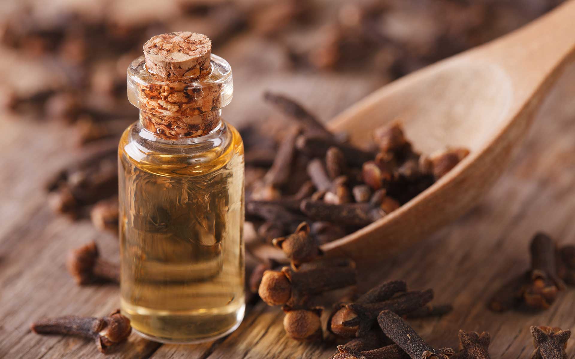 Clove Bud Essential Oil