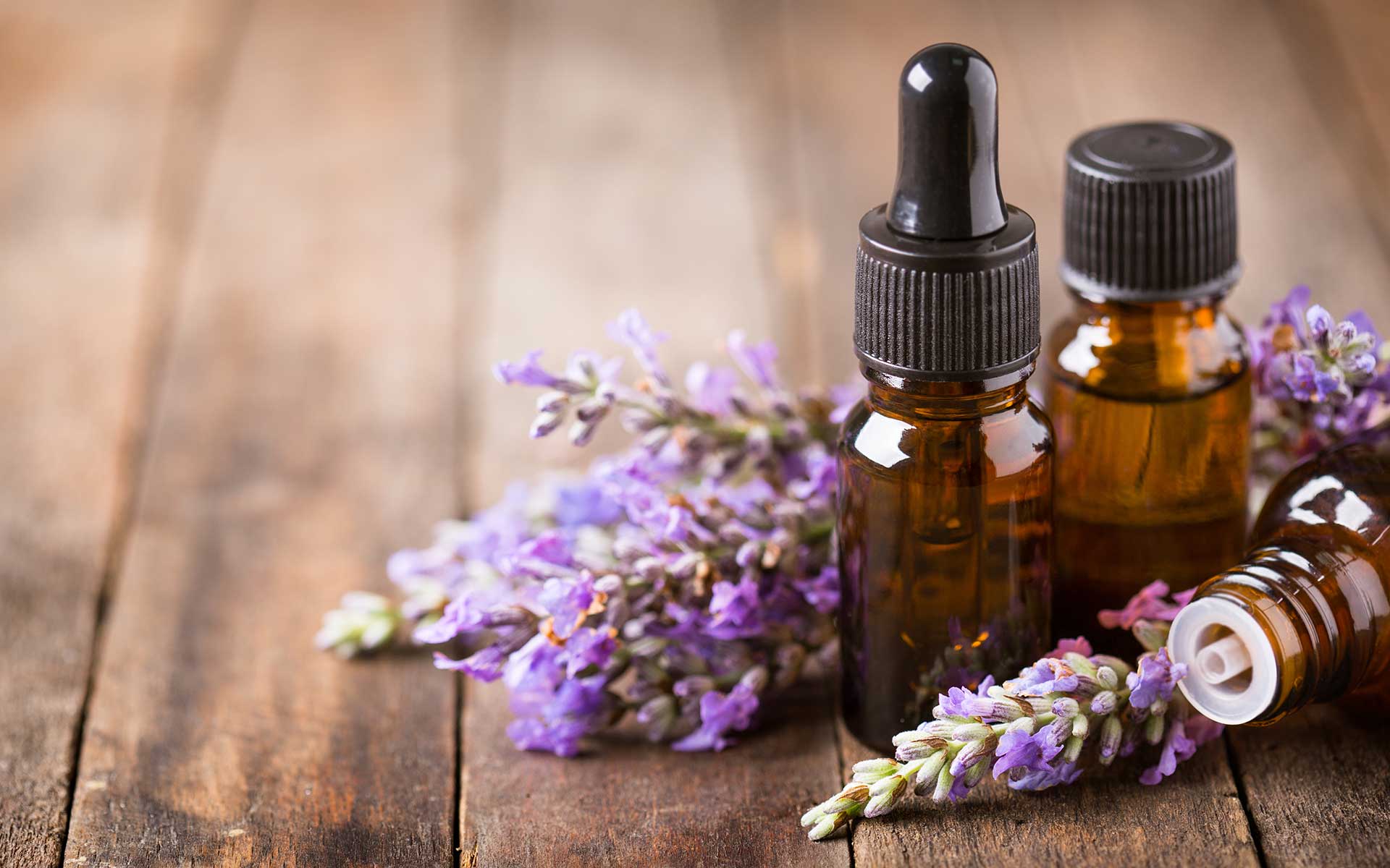 Lavender Essential Oil