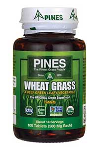 Pines - Wheat Grass